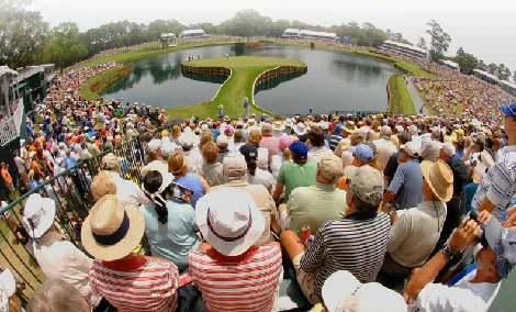 17sawgrass