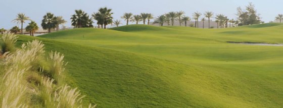 El Royal Golf Club, diseño de Colin Montgomerie, es uno de los campos más emblemáticos de Bahrein.