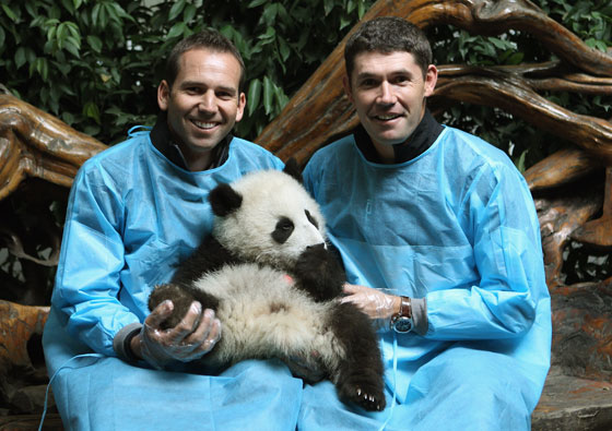 Sergio García y Harrington posan con Ya Yun, un bebé de panda de siete meses. Getty Images.