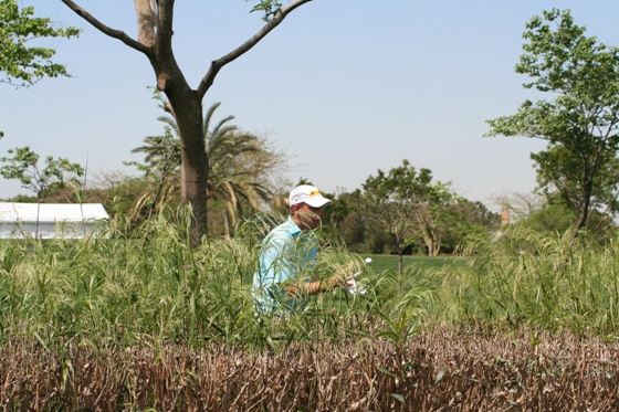 Tras estudiar el terreno, Siem encuentra un punto detrás del seto y le pide la bola a su caddie para dropar.