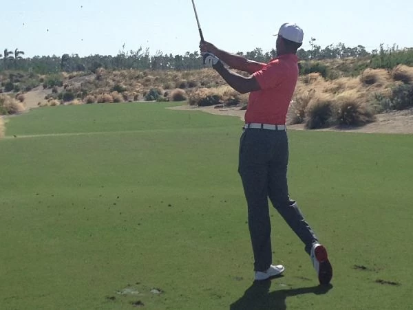tigerbahamasproam_opt