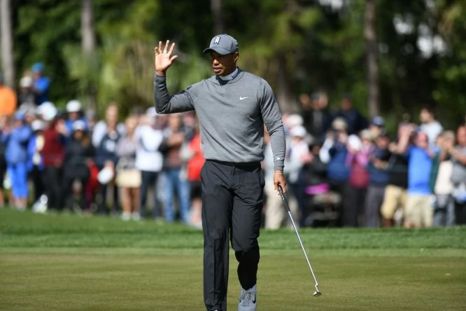 Tiger Woods, en el Valspar. © Dalton Hamm | Golffile