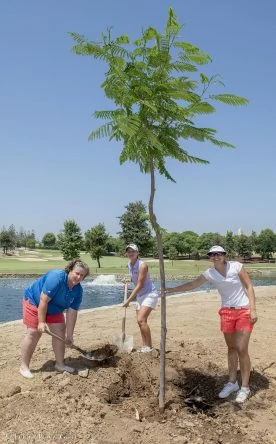 Jugadoras plantando un árbol.