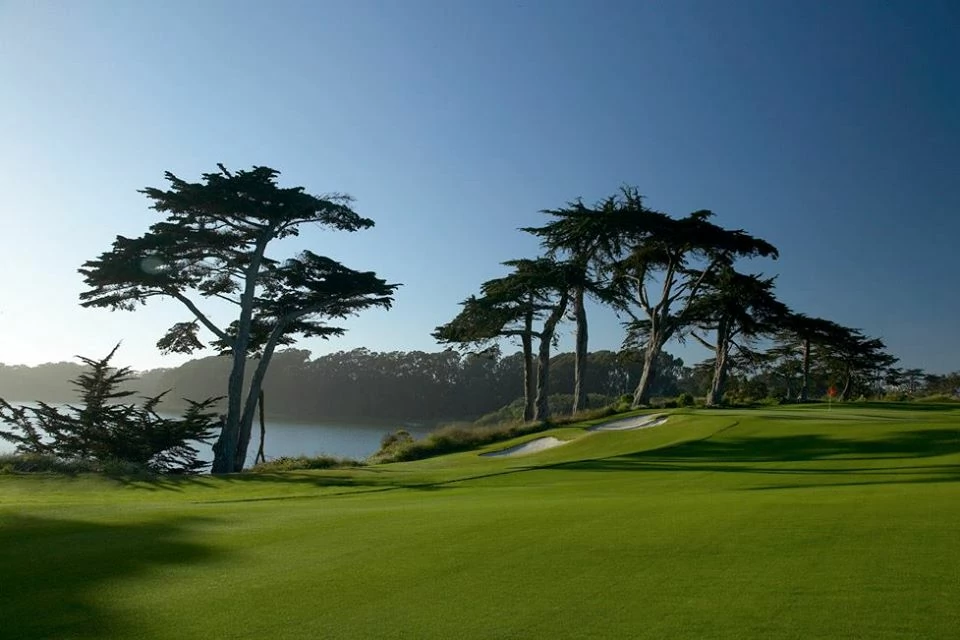 TPC Harding Park Una vista del TPC Harding Park. © TPC Harding Park