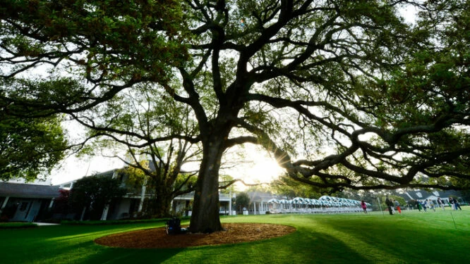 El Oak Tree del Augusta National Golf Club