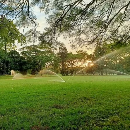 Muthaiga Golf Club © DP World Tour