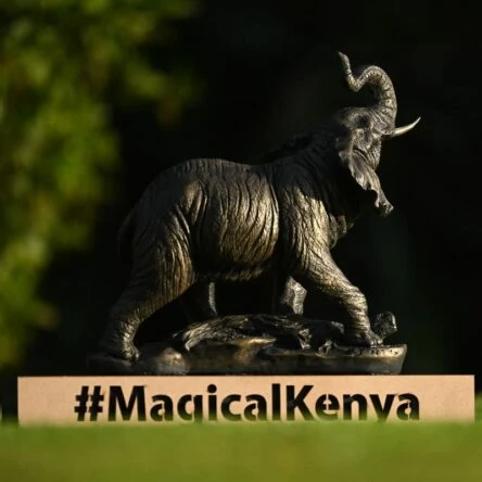 Trofeo del Magical Kenya Open © DP World Tour
